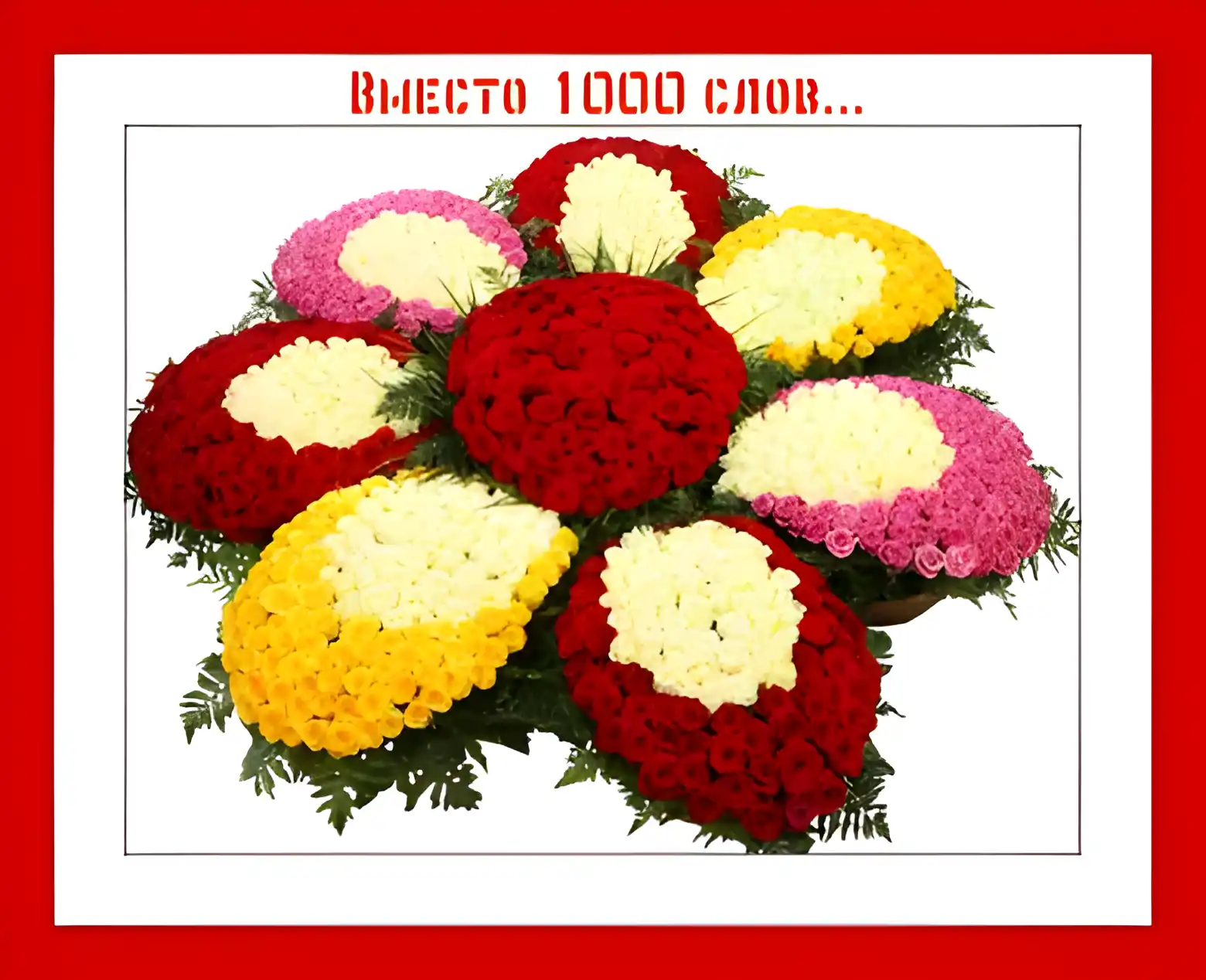 Открытка Вместо 1000 слов - Букет из хризантем: красные, желтые, розовые цветы | Красивая открытка #13