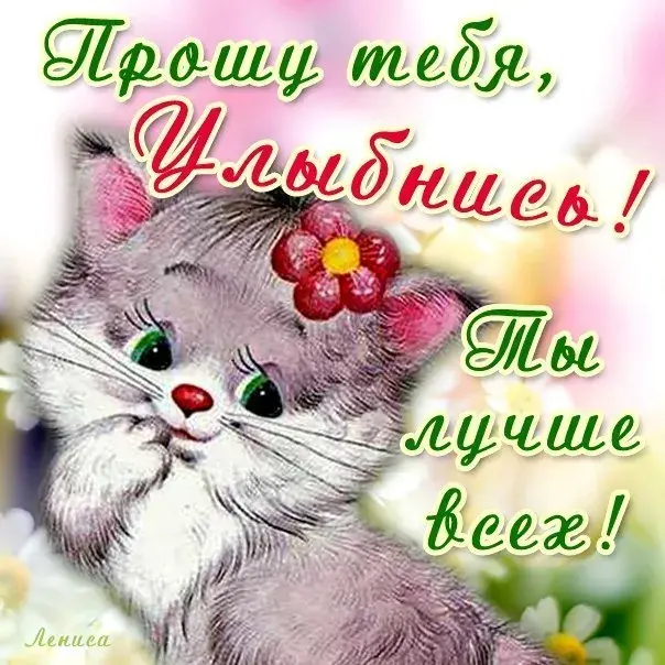 Открытка Улыбнись - Открытка с котенком и цветами | Красивая открытка #78