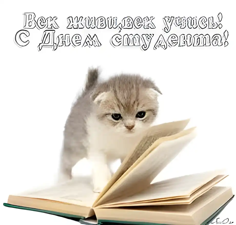 Открытка Открытки с днем студента - Котенок на книге: Открытка с милым сюрпризом | Красивая открытка #14
