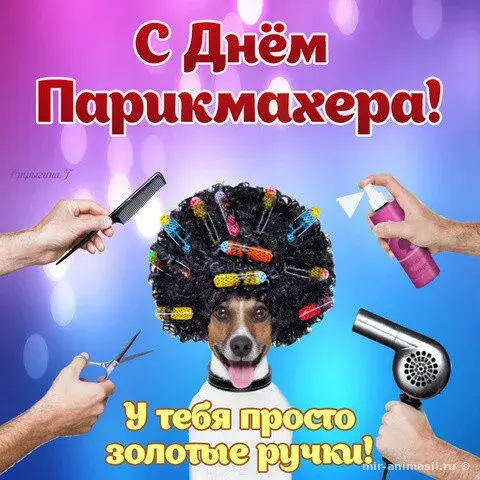 Открытка Открытки с днем парикмахера - Собака парикмахер: смешная открытка с Днём! | Красивая открытка #47