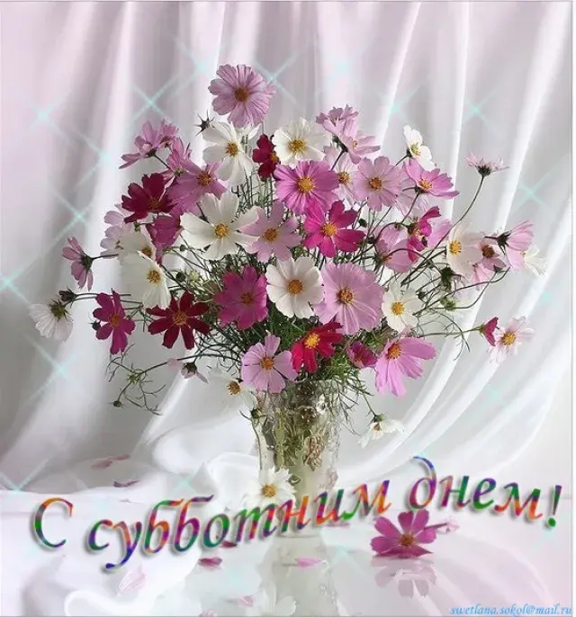 Открытка Открытки на субботу - Открытка с цветами: букет ромашек и хризантем | Красивая открытка #114