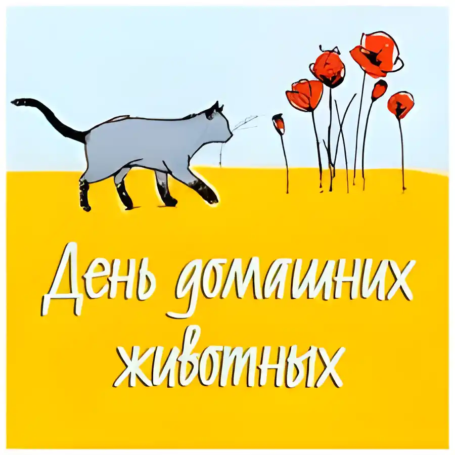 Открытка Открытки на Всемирный день домашних животных - Открытка: кошка и красные маки | Красивая открытка #33