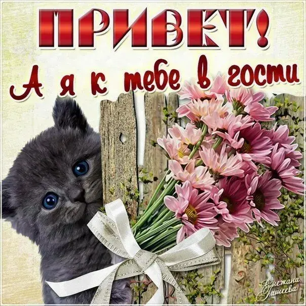 Открытка С приветствием - Котенок и цветы: милая открытка с поздравлением | Красивая открытка #18