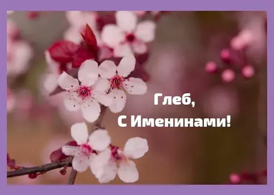 Открытка открытки с именем Глеб - Цветущая вишня: С Днем Рождения, Глеб! | Красивая открытка #215