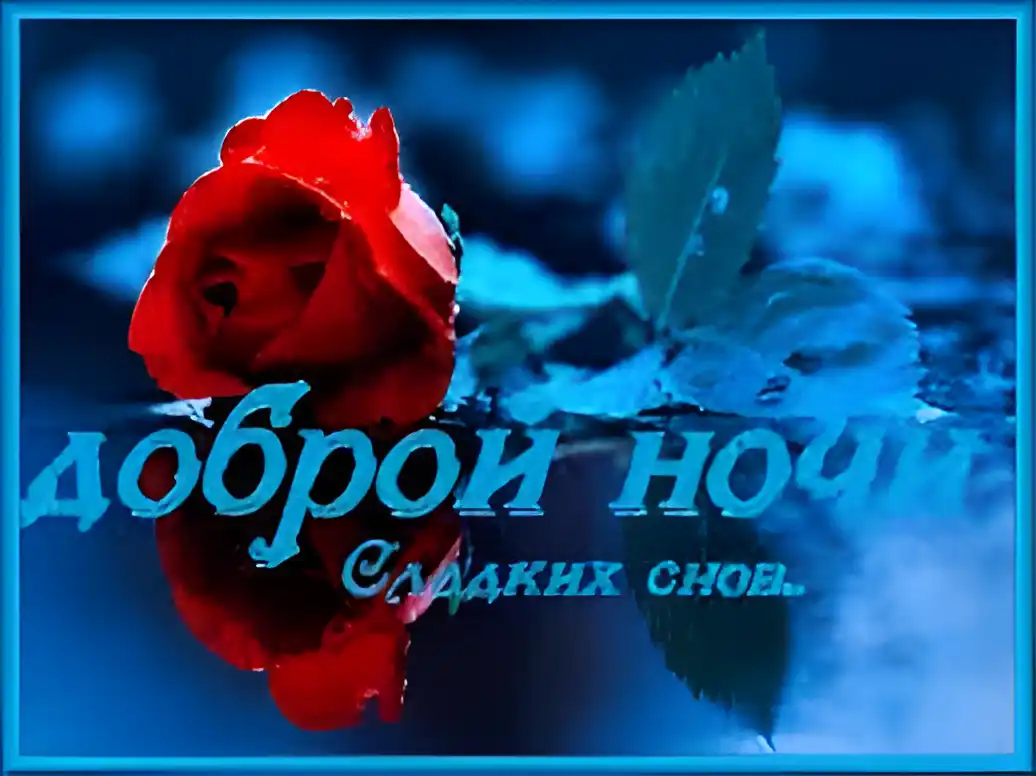 Открытка Открытки с пожеланиями на ночь - Красная роза на синем фоне: открытка с надписью | Красивая открытка #131