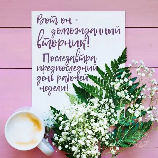 Открытка С вторником - Открытка с цветами и кофе: нежные поздравления | Красивая открытка #33
