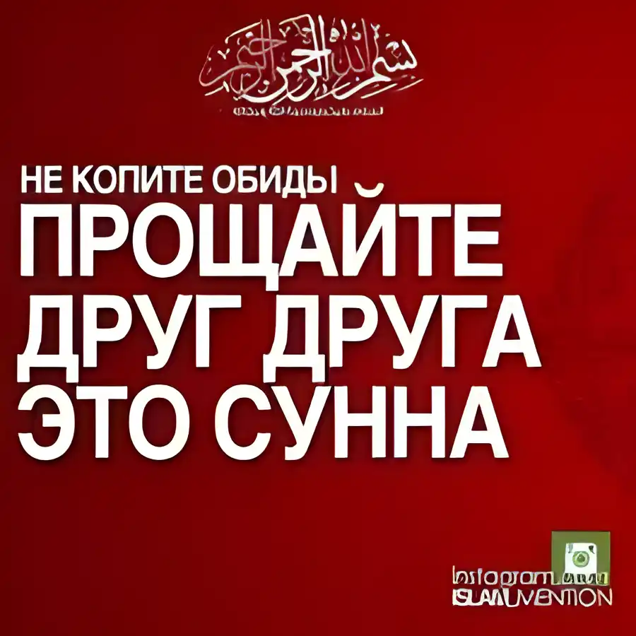 Открытка Поведение (Сунна) - Открытка с надписью «Не забывайте просить прощения» | Красивая открытка #46