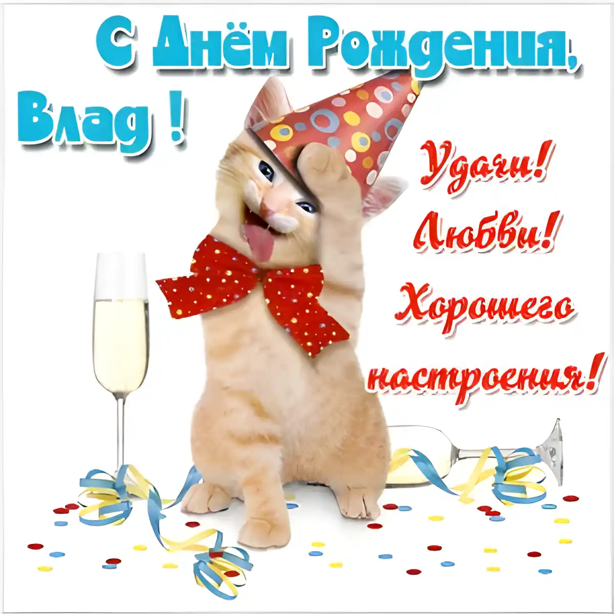 Открытка открытки с именем Владислав  - Кот в колпаке с шампанским - С Днем рождения! | Красивая открытка #107