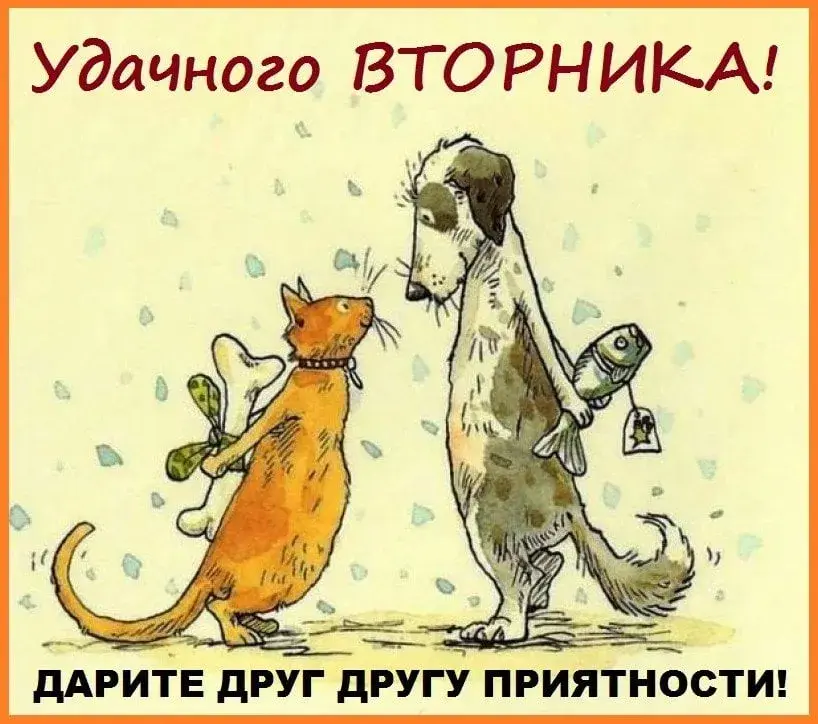 Открытка С вторником - Рыбак-кот и пес: забавная открытка с рыбой | Красивая открытка #5