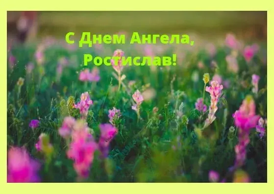 Открытка Открытки с именем Ростислав  - Полевые цветы: открытка с днем ангела | Красивая открытка #141