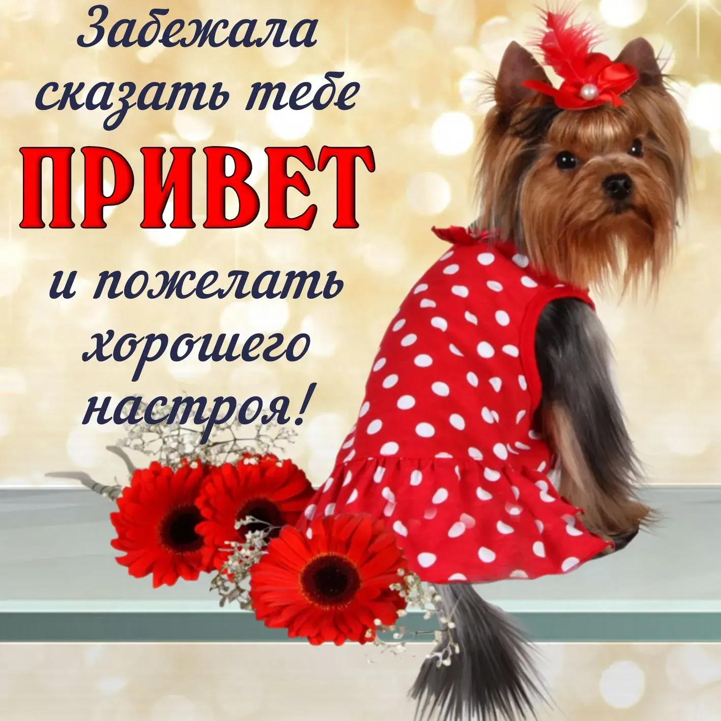 Открытка Привет - Открытка с щенком в платье и цветами | Красивая открытка #282