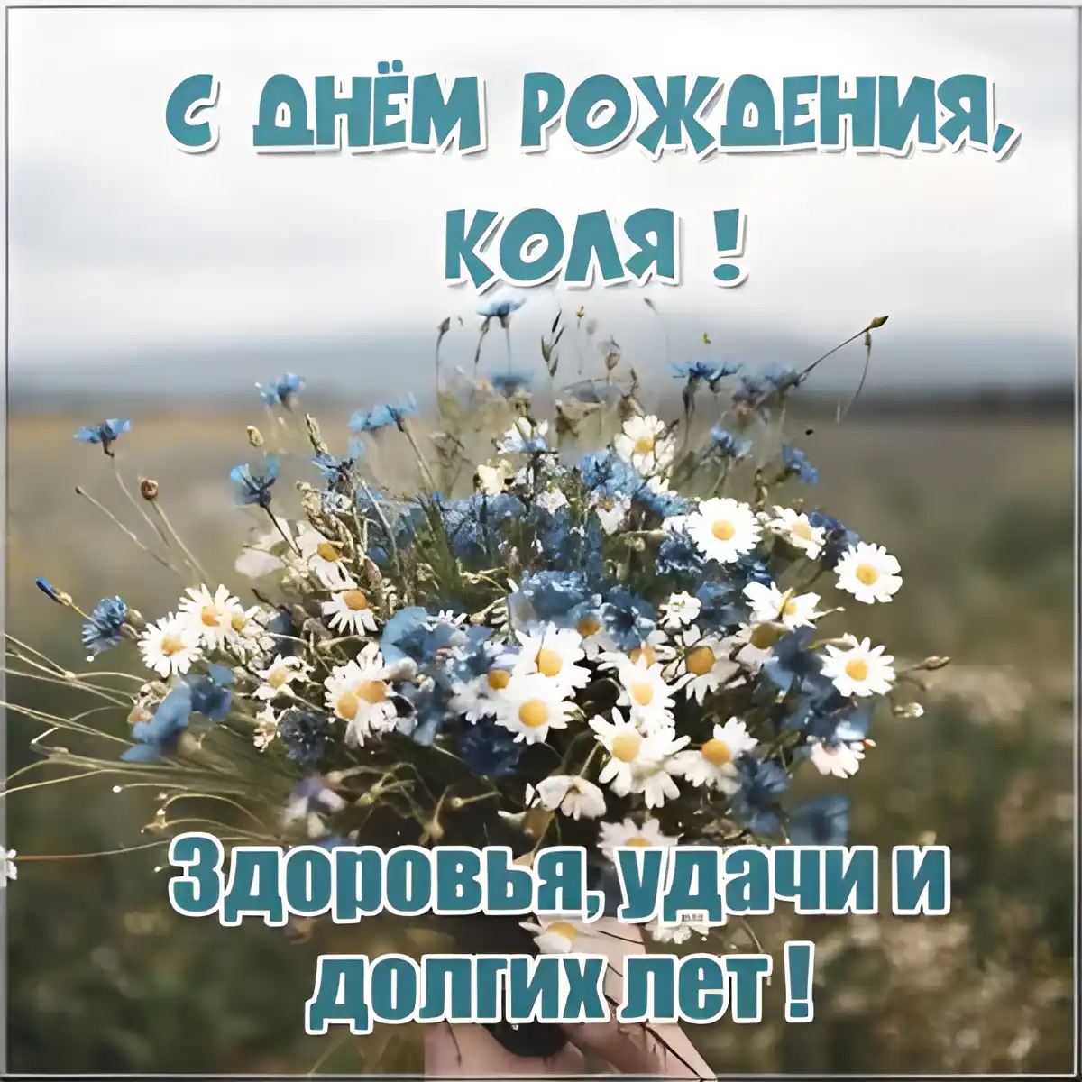 Открытка Открытки с именем Николай   - Полевые цветы. Открытка с днем рождения. | Красивая открытка #97