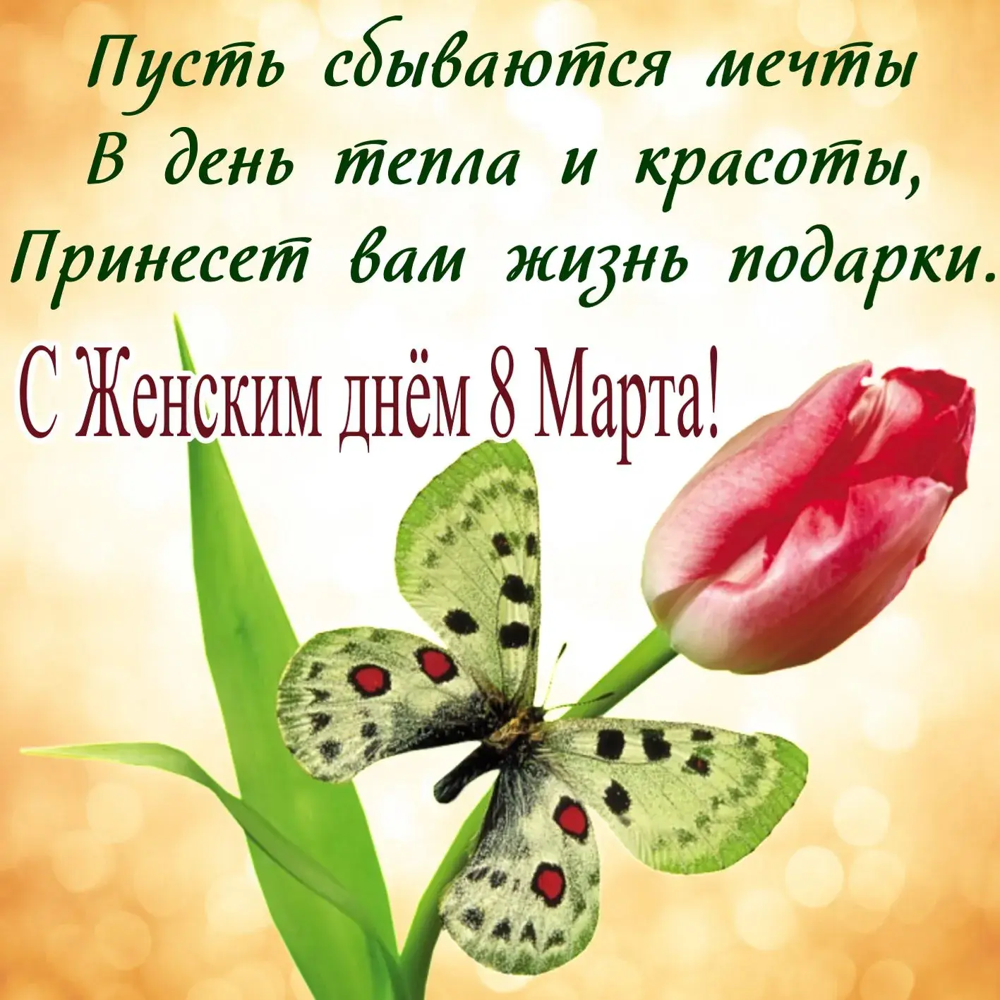 Открытка Открытки с 8 марта - Подарок на 8 марта: нежные тюльпаны и бабочка | Красивая открытка #45