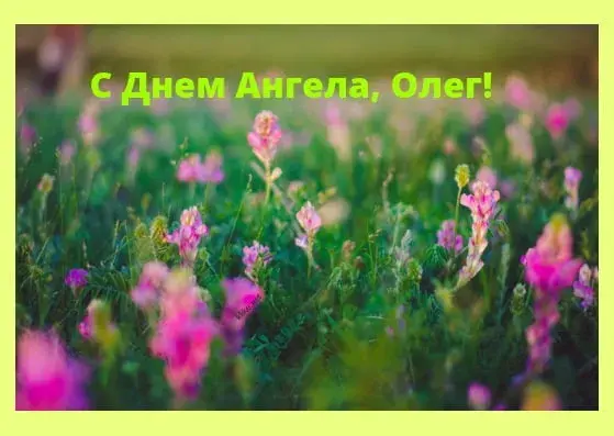 Открытка Открытки с именем Олег  - Полевые цветы: нежная открытка с днем рождения | Красивая открытка #234