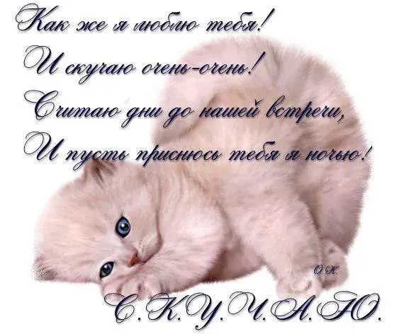 Открытка Открытки скучаю по тебе - Милый котенок: открытка с котенком для праздника | Красивая открытка #19