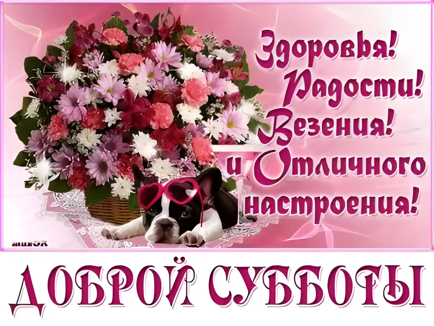 Открытка С субботой - Открытка: милый щенок, цветы | Красивая открытка #14
