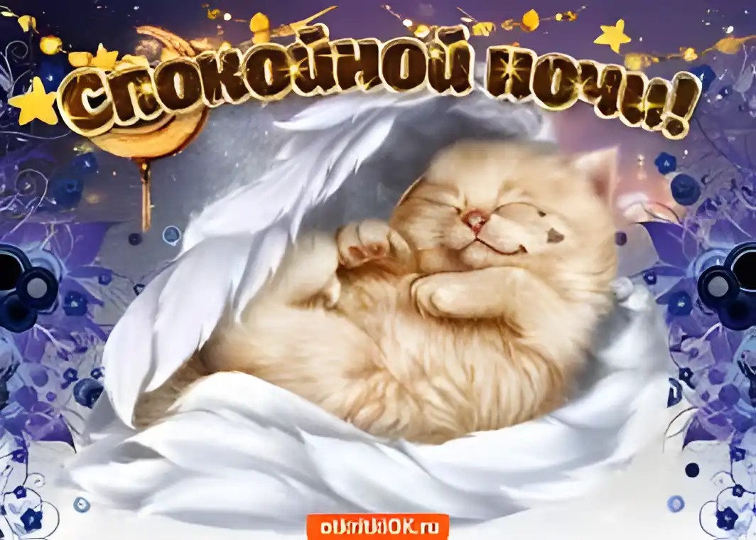 Открытка Открытки с пожеланиями на ночь - Открытка с котенком: Сладкий сон, милый котенок | Красивая открытка #154