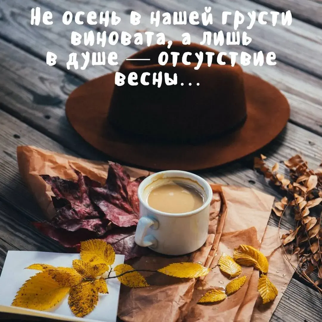 Открытка Не грусти - Осенняя открытка: листья, тыква, уютный плед | Красивая открытка #13