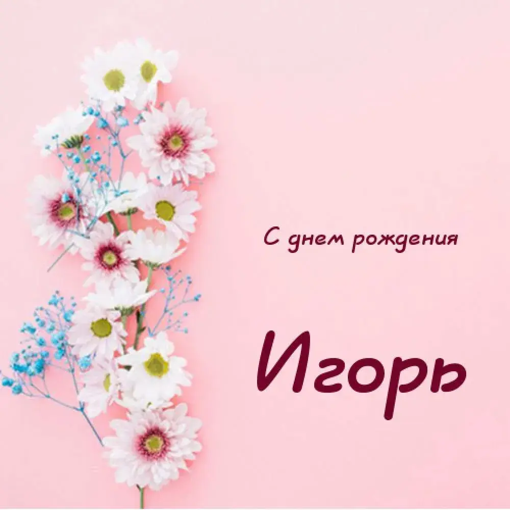 Открытка открытки с именем Игорь - Открытка с цветами: день рождения | Красивая открытка #177