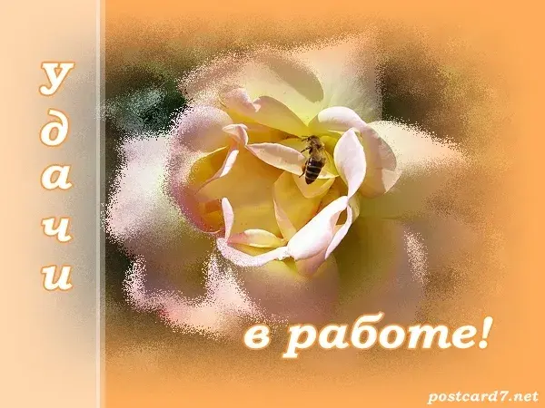 Открытка С пожеланиями удачи - Открытка с цветком и пчелой | Красивая открытка #15