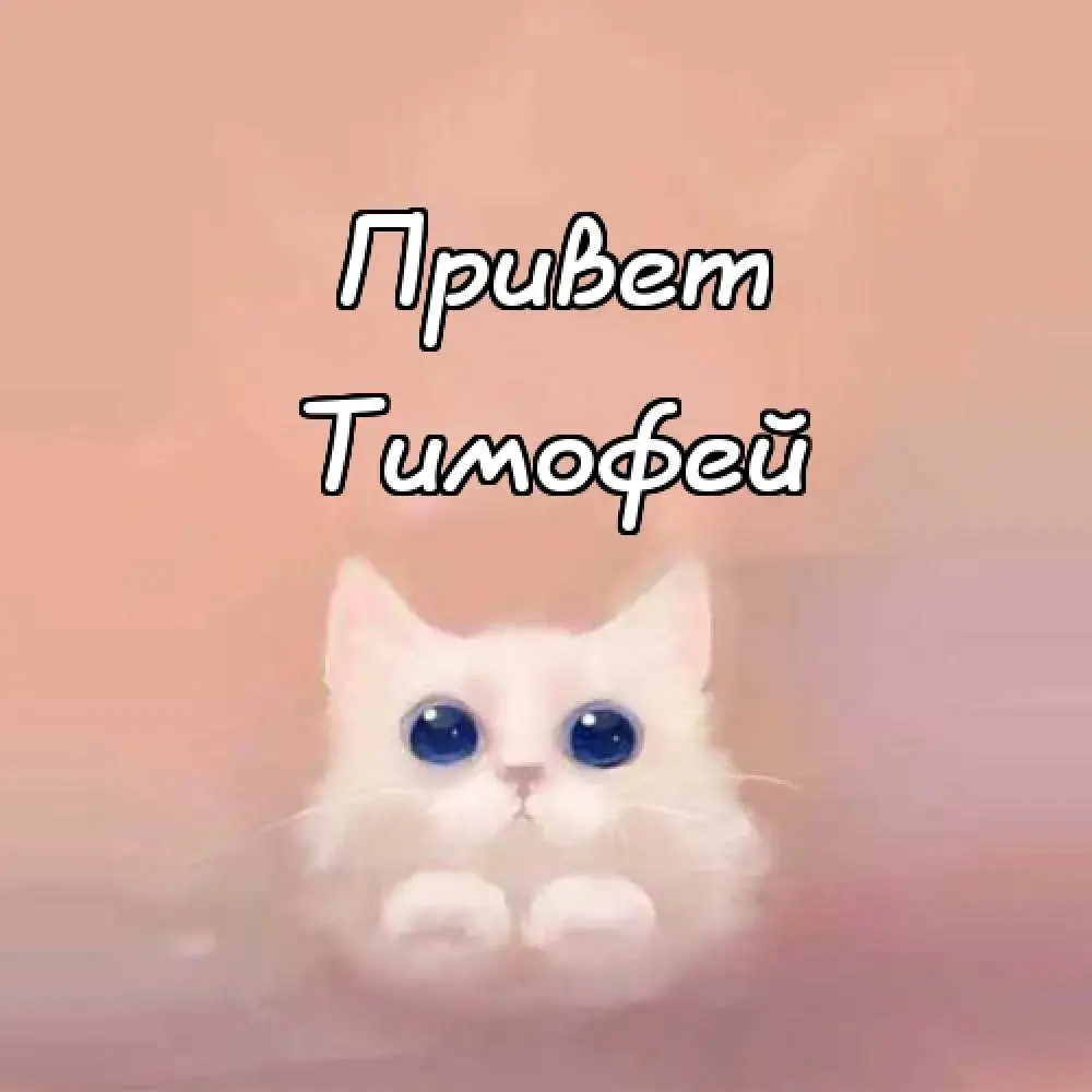 Открытка Открытки с именем Тимофей - Открытка с котенком: милый подарок | Красивая открытка #267
