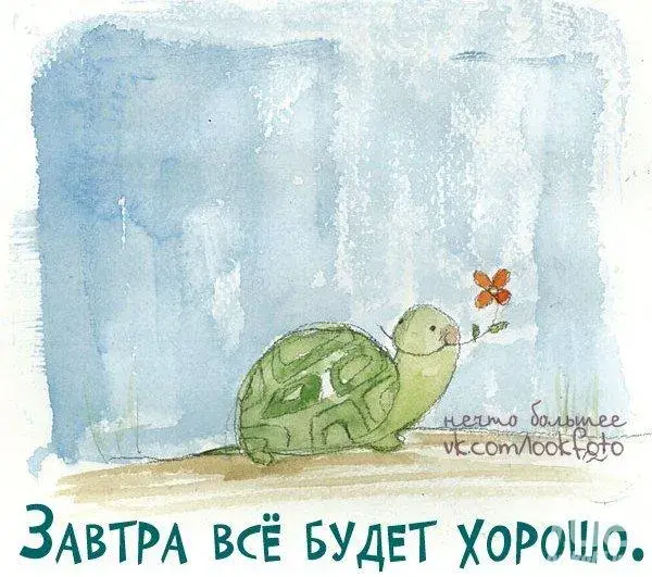 Открытка Все будет хорошо - Черепаха с цветком. Открытка с позитивным настроем | Красивая открытка #14