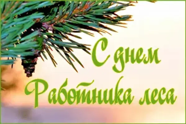 Открытка Открытки с днем работников леса - Открытка с сосновыми ветками и надписью "С днем" | Красивая открытка #29