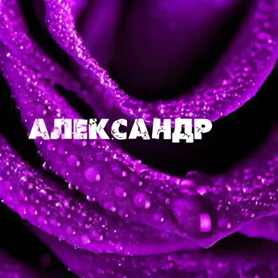 Открытка открытки с именем Александр - Фиолетовые розы с каплями росы. Открытка | Красивая открытка #87
