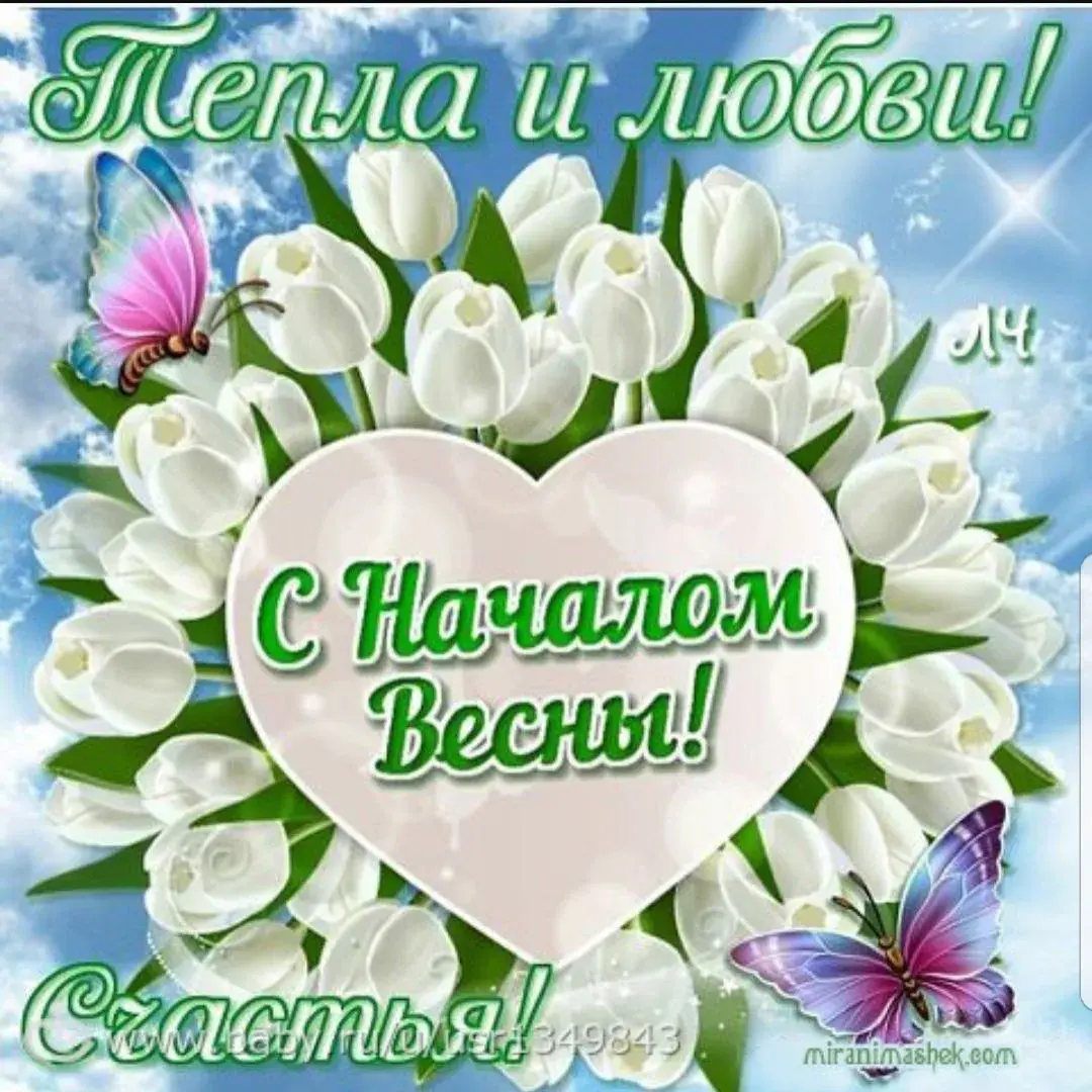 Открытка Первый день весны - Открытка с тюльпанами и бабочками  С Днём Весны! | Красивая открытка #200