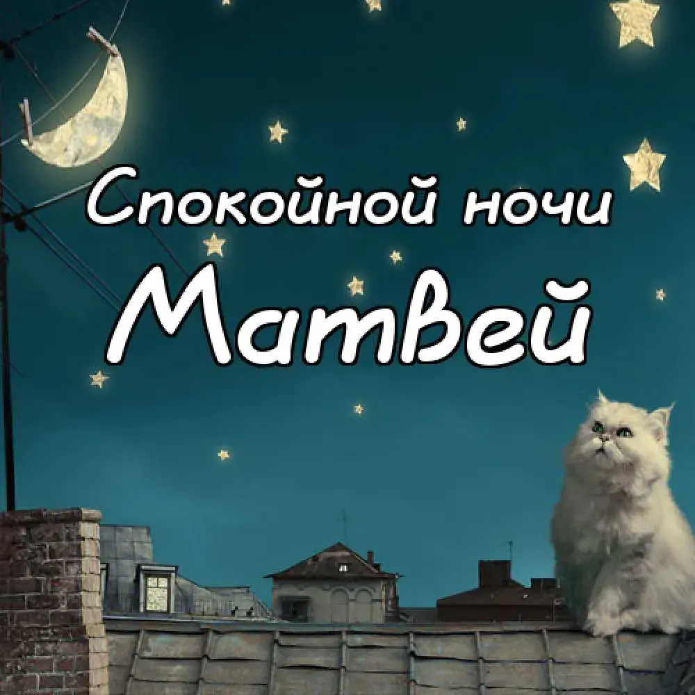 Открытка открытки с именем Матвей  - Открытка с котом на крыше под луной | Красивая открытка #101