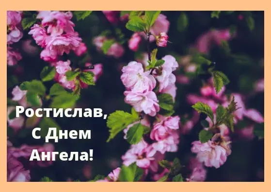 Открытка Открытки с именем Ростислав  - Цветущая вишня: открытка с днем рождения | Красивая открытка #62