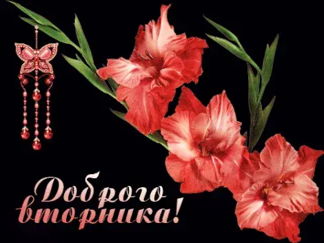 Открытка Удачного вторника - Открытка с красными гладиолусами и подвеской | Красивая открытка #20