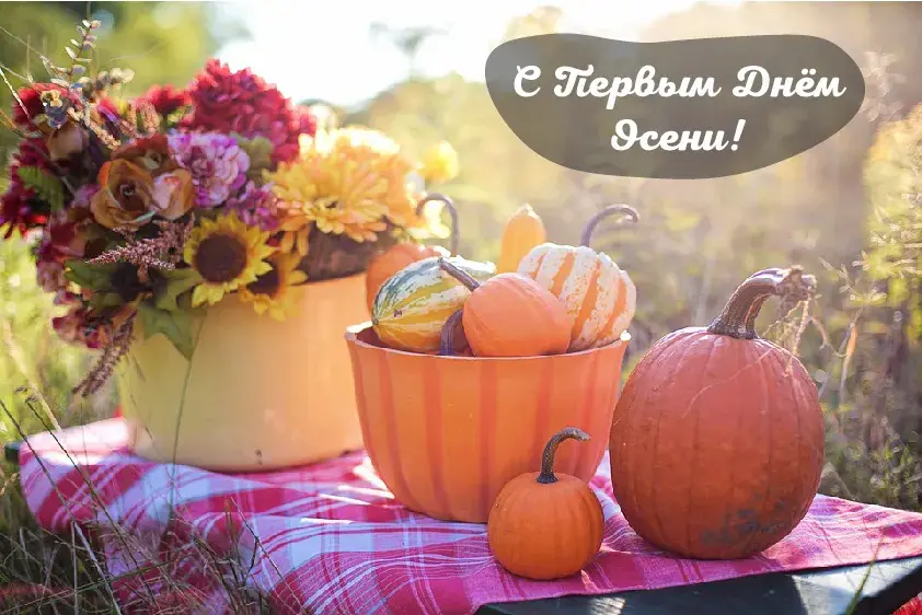 Открытка С началом осени - Осенняя открытка: тыквы, цветы, плед - фото | Красивая открытка #26
