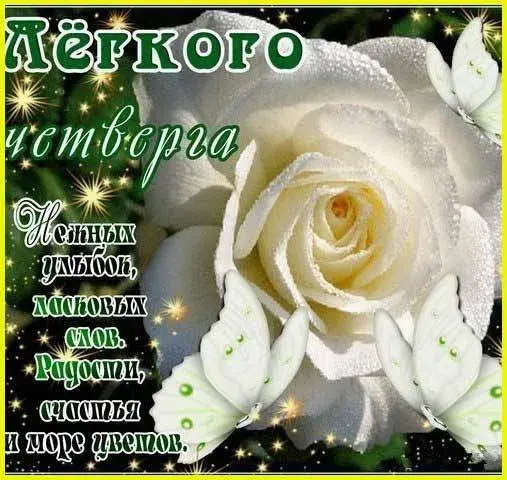 Открытка Открытки на четверг - Белые розы на открытке: красивый фон и мерцание | Красивая открытка #33