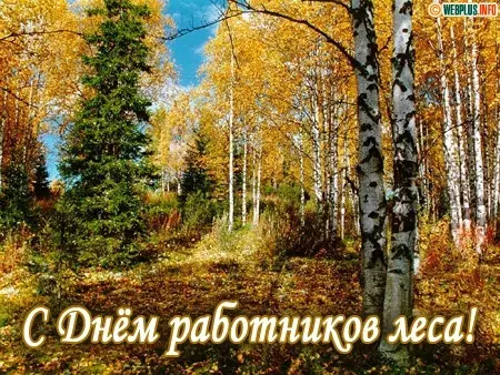 Открытка С днём работника леса - Осенний лес: поздравление с Днём лесоруба | Красивая открытка #1