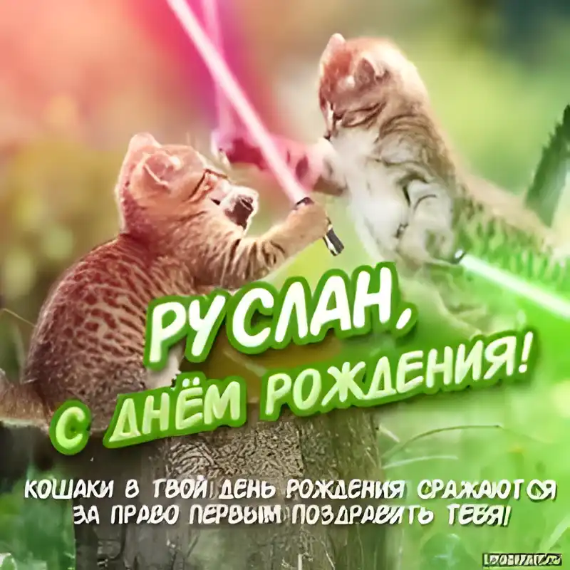 Открытка открытки с именем Руслан - С Днем Рождения! Коты-джедаи сражаются! | Красивая открытка #261