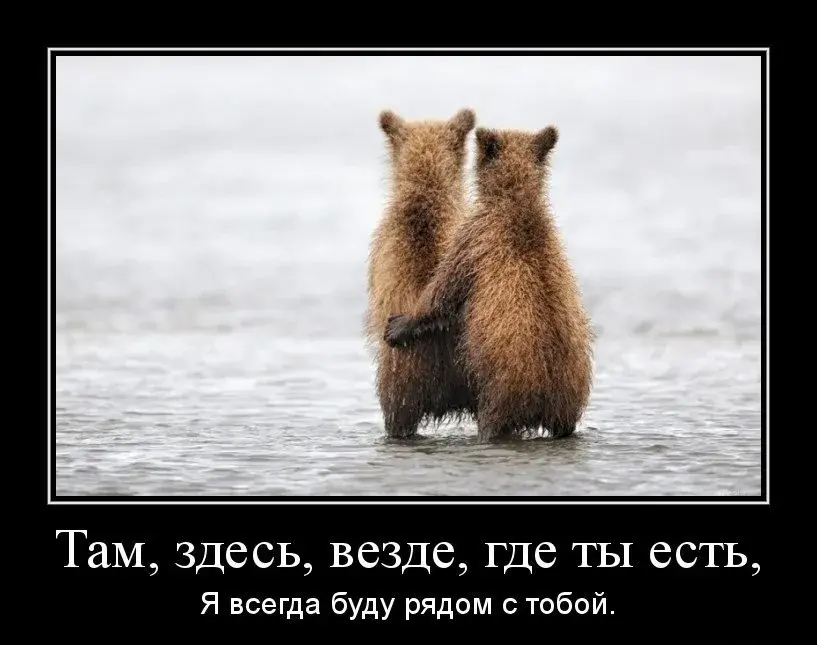 Открытка Открытки я рядом - Два медведя на берегу реки - купить открытку | Красивая открытка #40